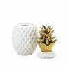 Accent Plus 13" Gold Topped Pineapple Jar